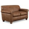 Dana Leather Sofa Collection